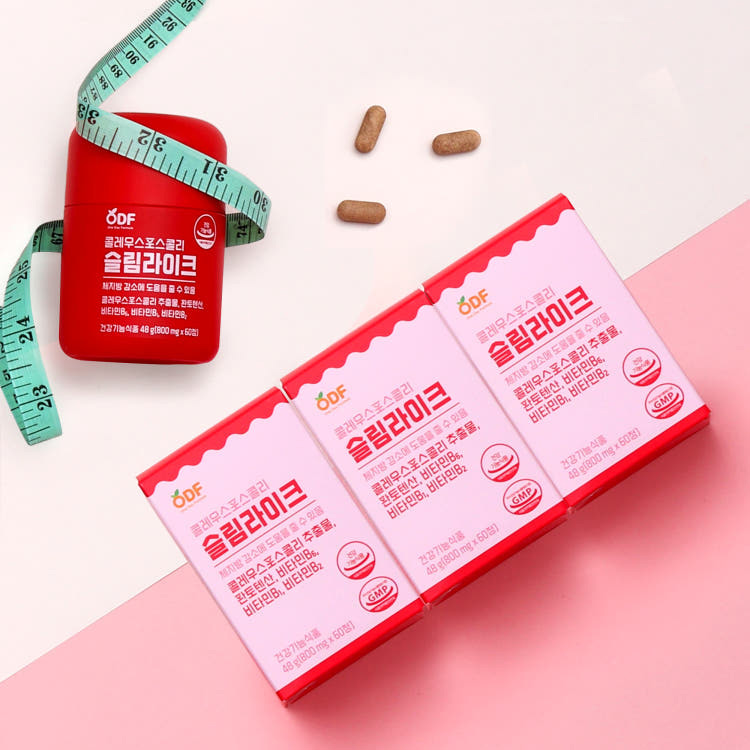 콜레우스포스콜리 슬림라이크 체지방 감소 800mg x 180정